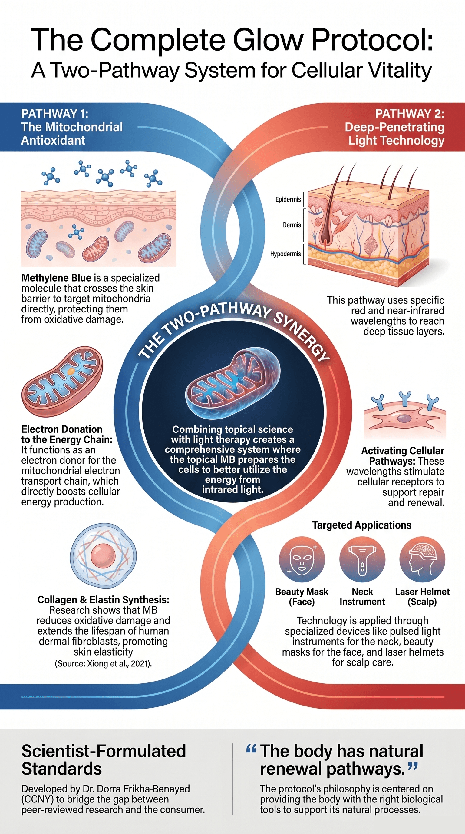 Figure 1. The two-pathway model: Methylene Blue topicals (Pathway 1) and infrared light therapy (Pathway 2) converging on mitochondrial cellular vitality. Illustration by Dr. Dorra Frikha-Benayed.